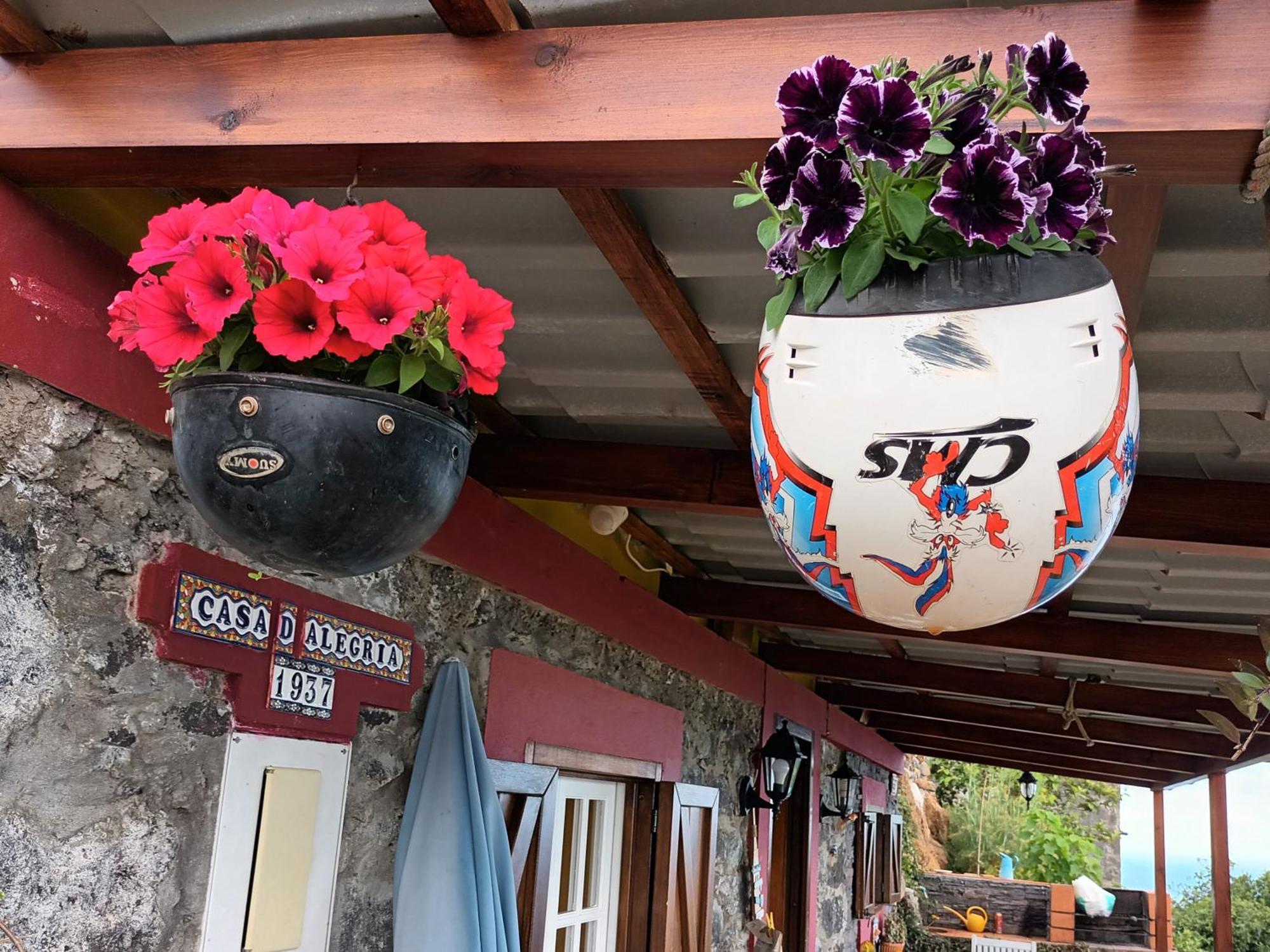Casa D'Alegria Madeira Island Villa Ribeira Brava Ngoại thất bức ảnh