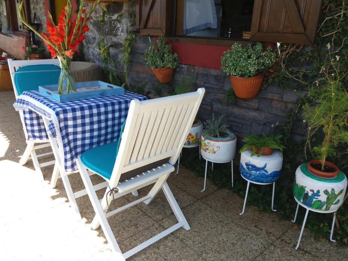 Casa D'Alegria Madeira Island Villa Ribeira Brava Ngoại thất bức ảnh